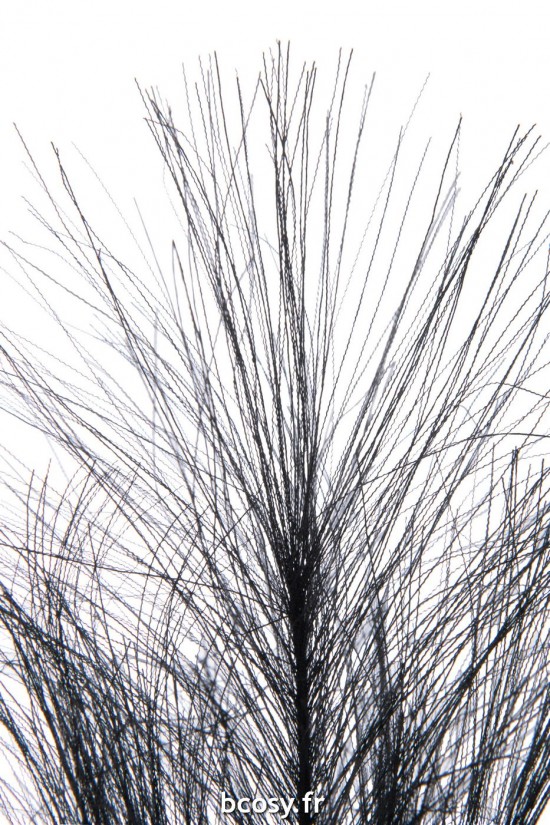 J-line 36972 Jolipa JLine fleurs branche.