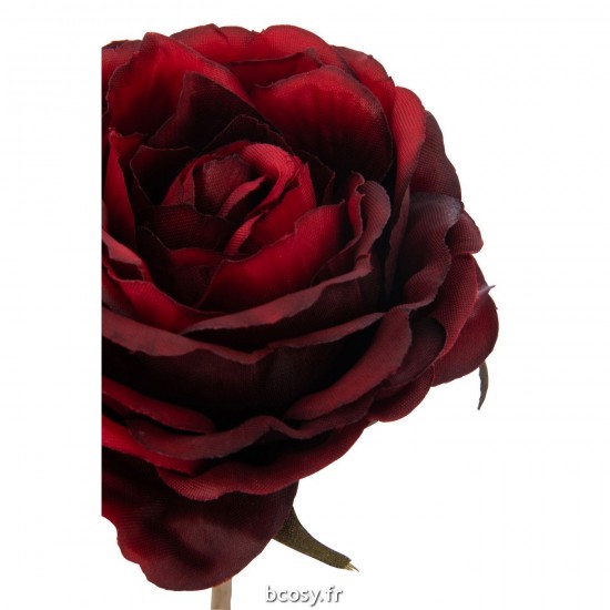 J-line 37553 Jolipa JLine fleurs rose.