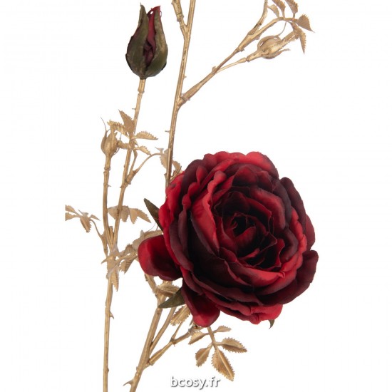 J-line 37555 Jolipa JLine fleurs rose.