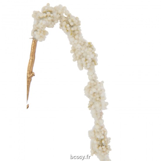 J-line 37577 Jolipa JLine fleurs branche.