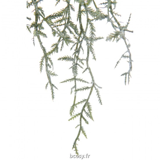 J-line 37578 Jolipa JLine fleurs branche.