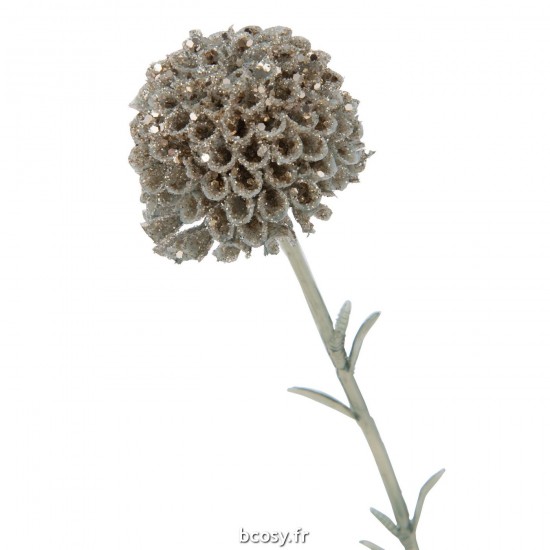 J-line 37579 Jolipa JLine fleurs branche.