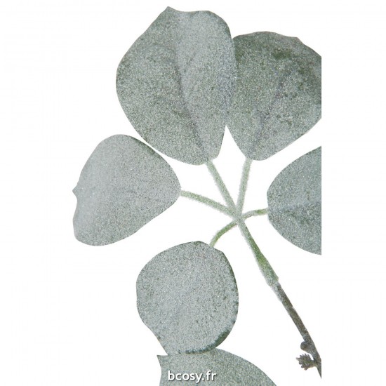 J-line 37585 Jolipa JLine fleurs branche.