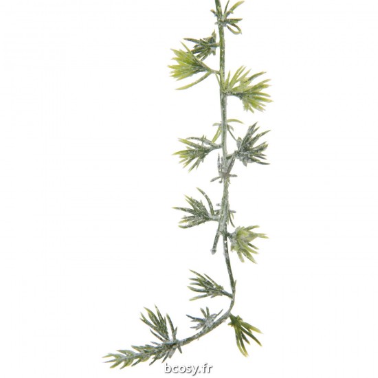 J-line 37586 Jolipa JLine fleurs branche.