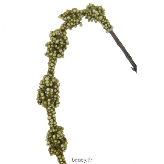 J-line 37590 Jolipa JLine fleurs branche.