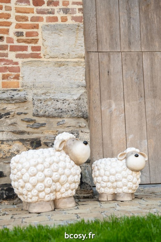 Jolipa Mouton Magnesium Blanc Gris Small.