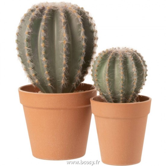 J-line 4115 Jolipa JLine fleurs cactus succulente.