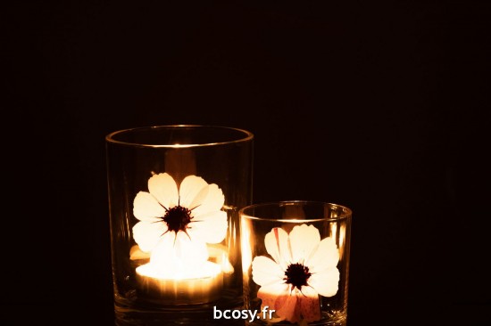 J-Line J Line photophores Photophore Fleur Rose Verre Mix.