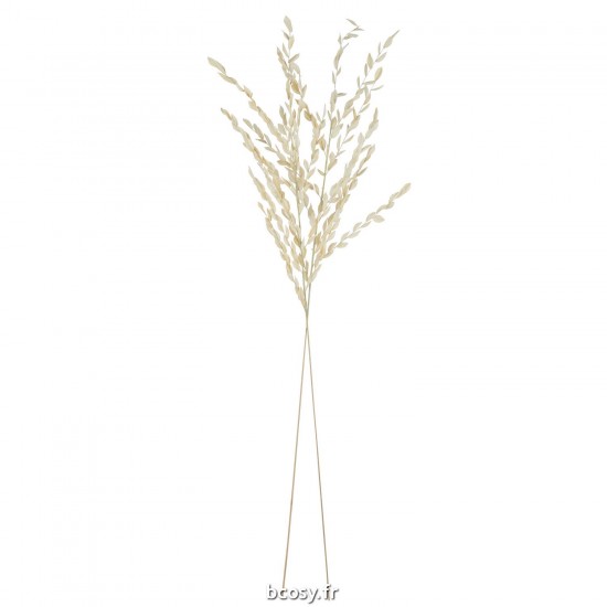 J-line 43856 Jolipa JLine fleurs fleur sechee.