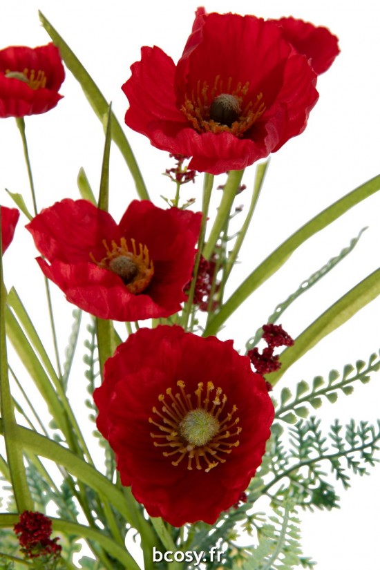 J-line 43885 Jolipa JLine fleurs rose.