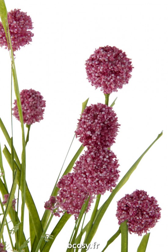 J-line 43886 Jolipa JLine fleurs fleurs diverses.