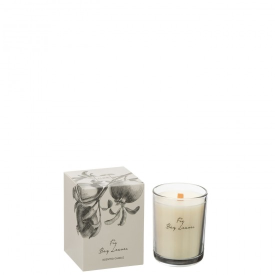 J-Line J Line bougies parfumées Jolipa Bougie Parfumee Figues Baie Feuille Cire Coco Large 50Heures.