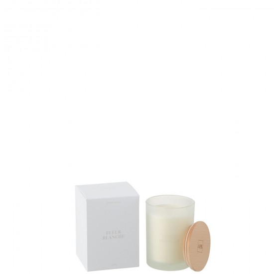 J-Line J Line bougies parfumées Jolipa Bougie Senteur Accords Essentiels Fleur Blanche 38H.