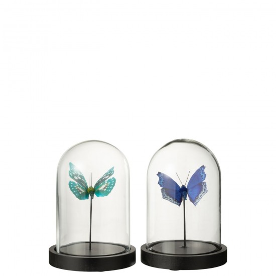 J-line 51507 Jolipa JLine objets deco cloche en verre avec objet.