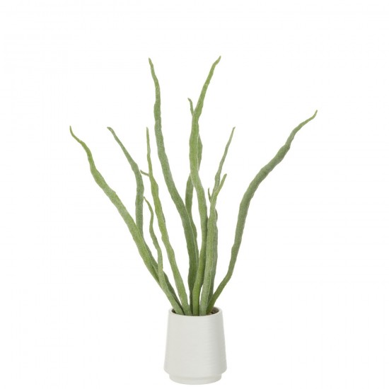 J-Line J Line Succulentes Jolipa Plante Grasse En Pot Artificiel Vert.