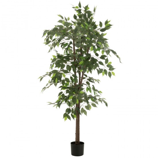 J-Line J Line arbres decos Jolipa Ficus Pot Artificiel Vert.
