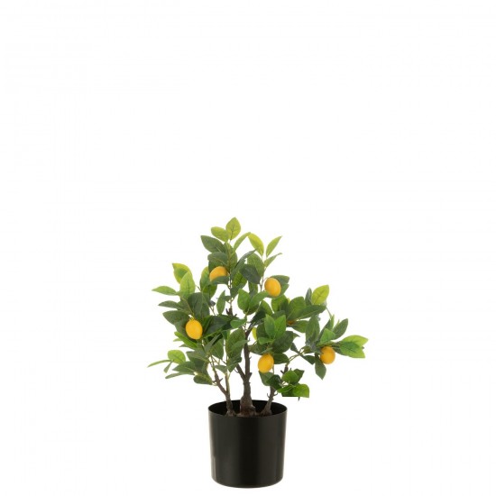J-Line J Line arbres decos Jolipa Citronnier Pot Artificiel Vert Small.