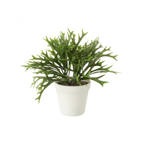J-line 54912 Jolipa JLine fleurs plante en pot.
