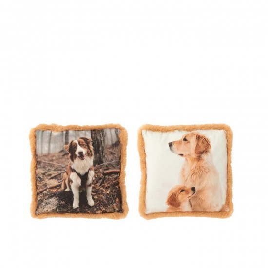 J-Line J Line coussins Jolipa Coussin Chien Polyester Marron Beige Small Assortiment De 2.