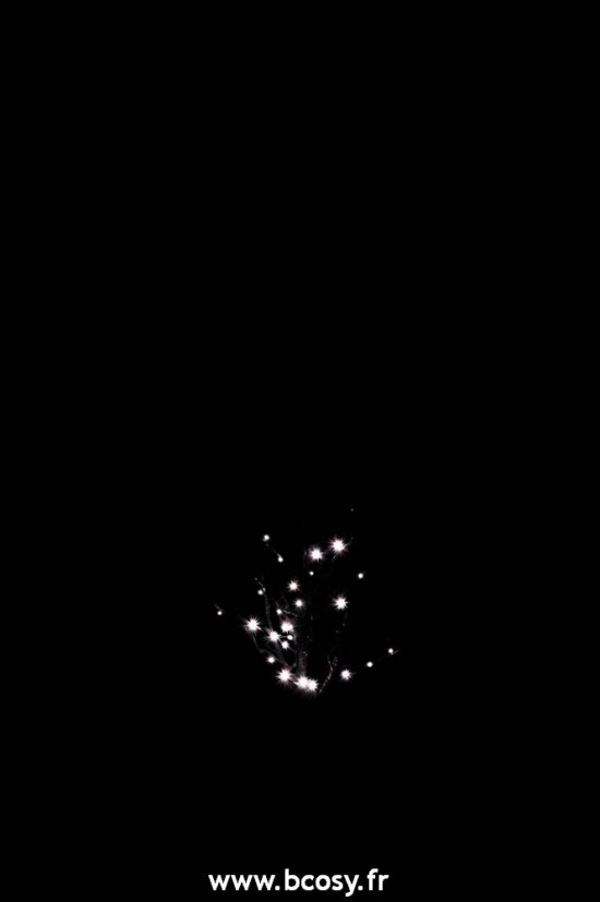 J-Line arbres sapins de noel sur pied Jolipa Jline Arbre Nu 30 Leds Blanc Chaud Adaptateur Fil De 3M Paillettes Noir Small 90Cm