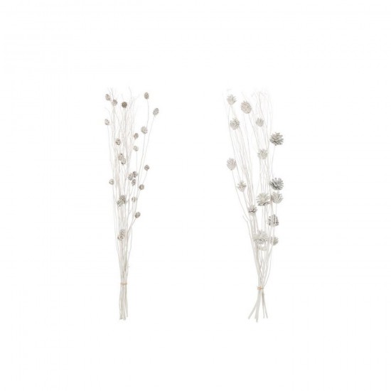 J-Line J Line fleurs séchées Jolipa Branche Pomme De Pin Fleur Séchée Blanc Assortiment De 2.