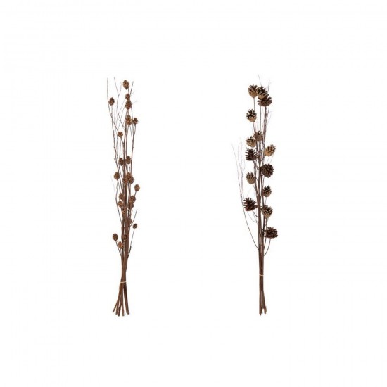 J-Line J Line fleurs séchées Jolipa Branche Pomme De Pin Fleur Séchée Marron Foncé Assortiment De 2.