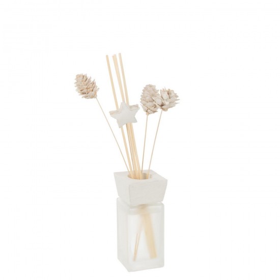 J-Line J Line diffuseurs de parfums Jolipa Diffuseur À Batons Pin Eucalyptus Fleur Séchée Blanc.