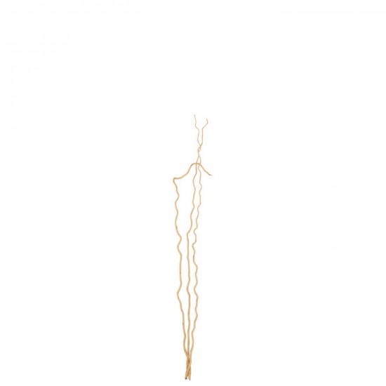 J-Line J Line fleurs séchées Jolipa Lot De 3 Branche Fleur Séchée Naturel Medium.