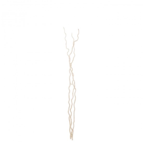 J-Line J Line fleurs séchées Jolipa Lot De 3 Branche Fleur Séchée Blanc Large.