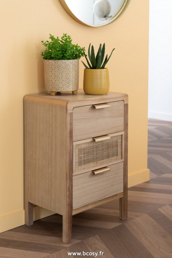 Jolipa Jline Plante Grasse Aloe Vera Lotus Pot Vert Small Assortiment De 3