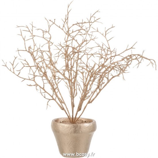 J-line 6863 Jolipa JLine fleurs plante en pot