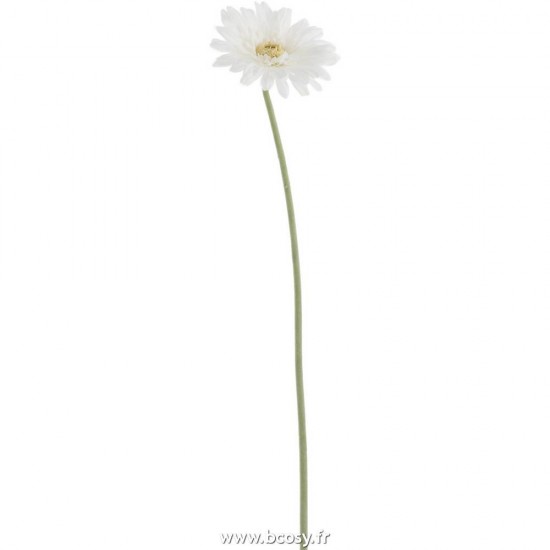 J-line 83275 Jolipa JLine fleurs gerbera