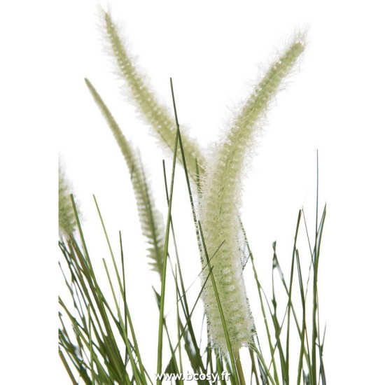 J-line 83461 Jolipa JLine fleurs herbe