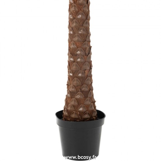 Jolipa Jline Palmier 4 Noix De Coco En Pot Plastique Vert