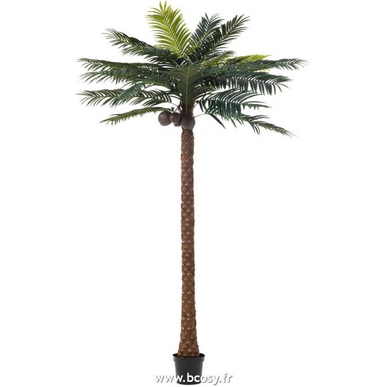 J Line Palmier 4 Noix De Coco En Pot Plastique Vert L190xB190xH350 cm Jline 93118 by Jolipa 93118