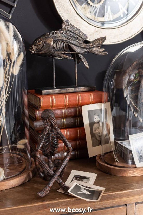 Jolipa Jline Livres Resine Marron Large