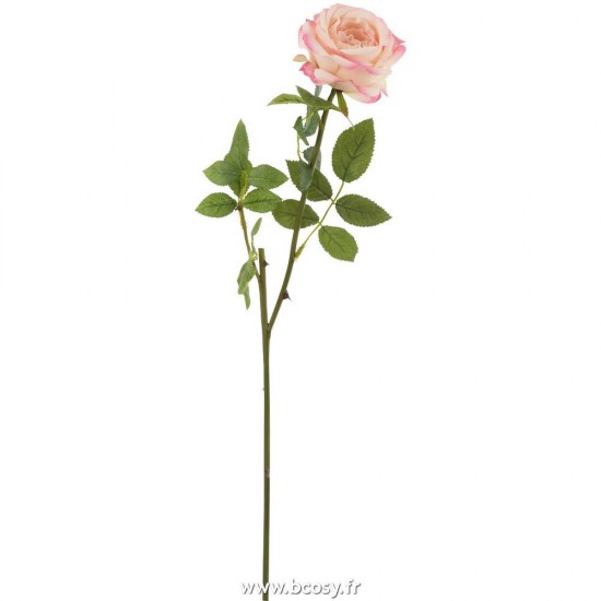 J-Line fleurs Jolipa J Line Jline Rose Seule Feuilles Plastique Rose