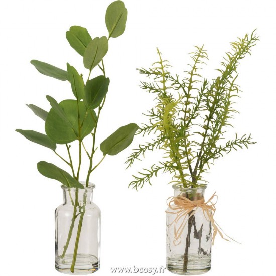 J-Line branches d'arbres Jolipa J Line Jline Eucalyptus Branches Dans Vase Verre Transparent Plastique Vert Assortiment De 2