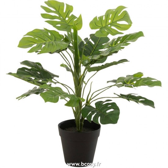 J-Line plantes Jolipa J Line Jline Philodendron En Pot Plastique Vert Small