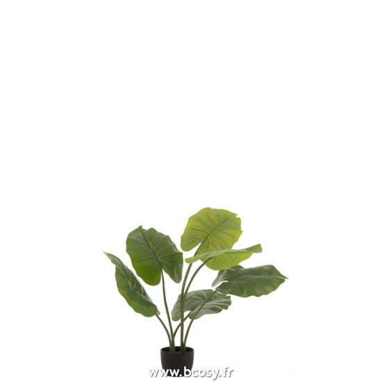J Line Taro Sauvage En Pot Plastique Vert Small L75xB60xH60 cm Jline 22021 by Jolipa 22021