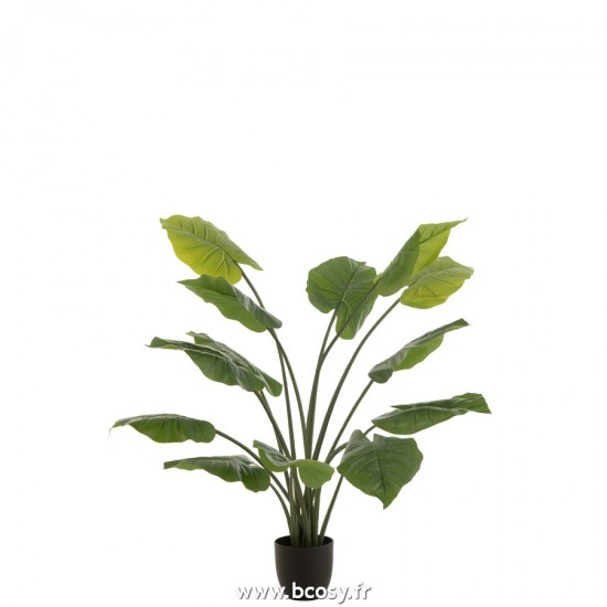 J Line Taro Sauvage En Pot Plastique Vert L100xB80xH105 cm Jline 22022 by Jolipa 22022