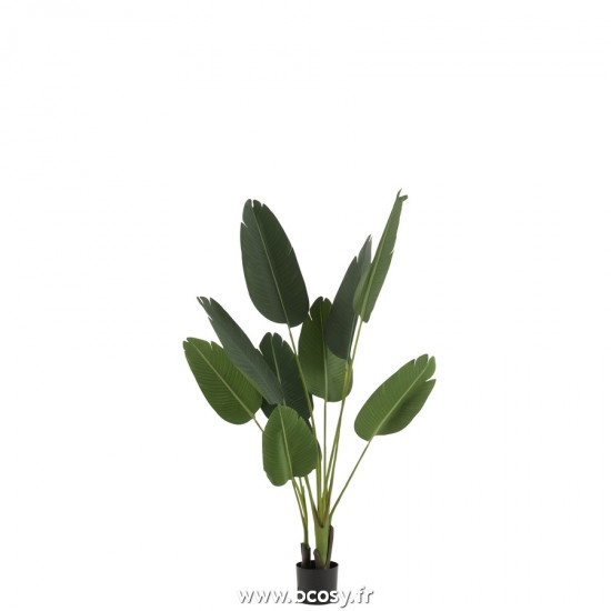 J Line Strelitzia Plastique Vert Small L72xB60xH160 cm Jline 22029 by Jolipa 22029