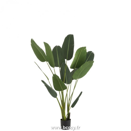 J Line Strelitzia Plastique Vert Medium L89xB60xH180 cm Jline 22030 by Jolipa 22030