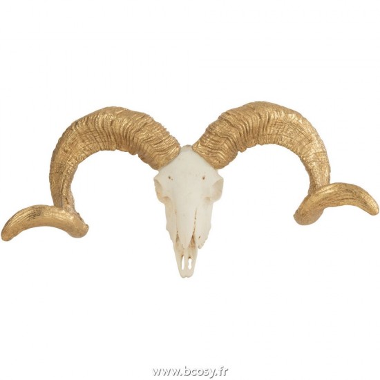 J Line Crâne Mouton Resine Blanc Or Small L34xB15xH9 cm Jline 26579 by Jolipa 26579