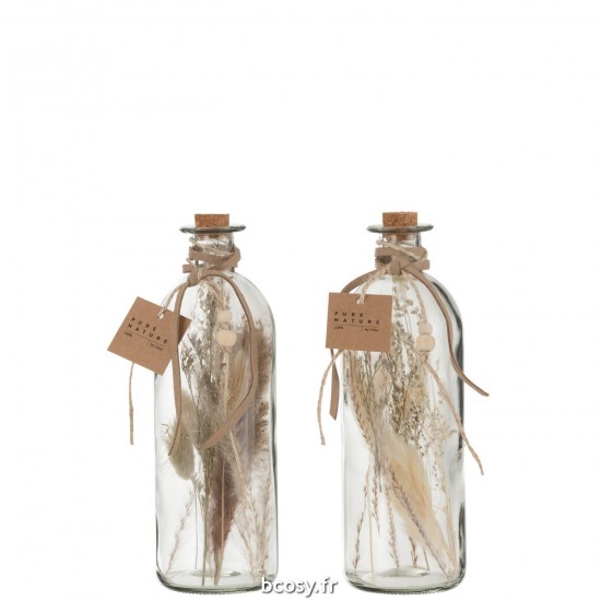 J Line Bouteilles Fleurs Sechees Verre Naturel Large L8xB8xH21 cm JLine 32967 by Jolipa 32967 Assortiment de 2 pcs.