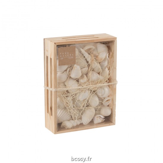 J Line Boite Rectangle Coquillages Blanc L20xB15xH6 cm JLine 32994 by Jolipa 32994.