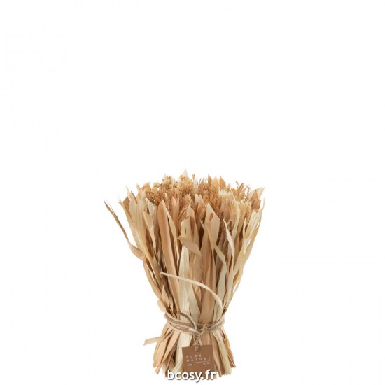 J Line Bouquet Fleurs Sechees Naturel Small L23xB23xH25 cm JLine 32999 by Jolipa 32999.