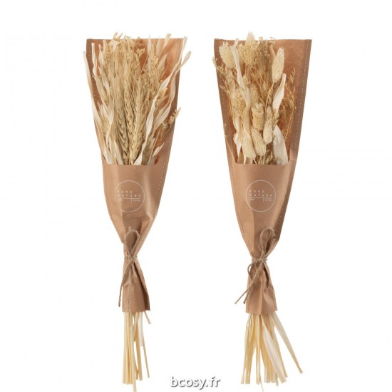 J Line Bouquet Herbes Avana Sechees Naturel L10xB5xH44 cm JLine 33002 by Jolipa 33002 Assortiment de 2 pcs.