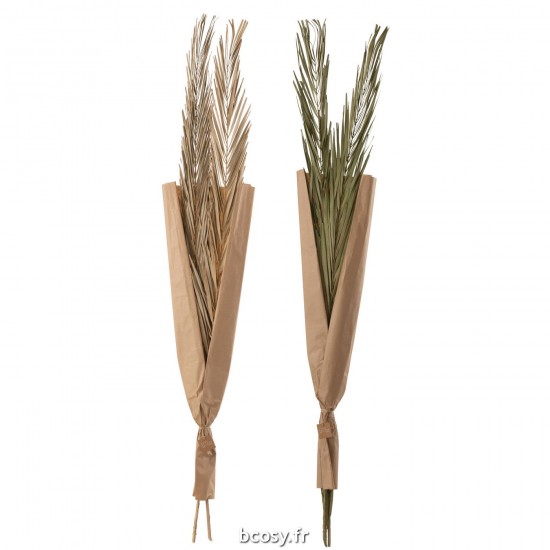 J Line Feuilles Khajur 2 Pieces Vert L22xB10xH144 cm JLine 33013 by Jolipa 33013 Assortiment de 2 pcs.