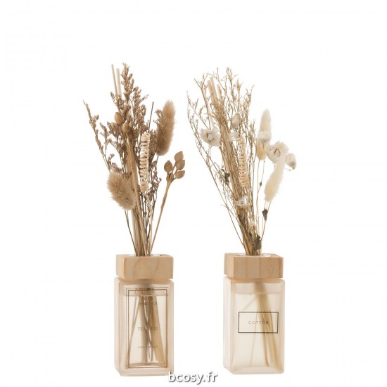 J Line Huile Parfumee Avec Branches Verre Naturel L9xB6xH28 cm JLine 33015 by Jolipa 33015 Assortiment de 2 pcs.